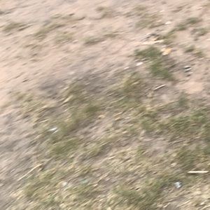 Meet your Posher, Tonia